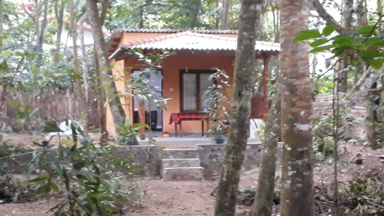 Freedom Villa Hiriketiya Dickwella Room photo
